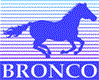 BRONCO MODELS