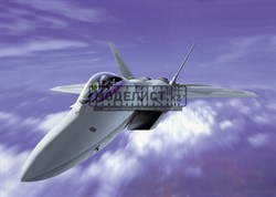 Самолет F-22 Raptor 