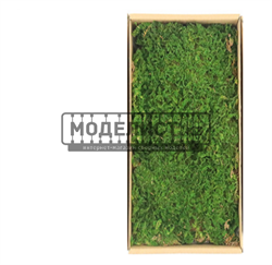 мох 18093 - фото 45159