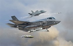 Самолет  F-35A LIGHTNING II (1:72) 1331 - фото 9412