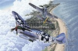 Самолет  P-47D &amp; FW190A-8 "Annv.70 Normandy Invasion 1944" (1:72) - фото 17446