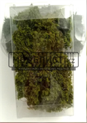 Кустарник 18069