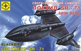 Сверхскоростной самолет Локхид SR-71 "Блекбёрд" - фото 6933